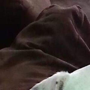 Meet your Posher, Thomas